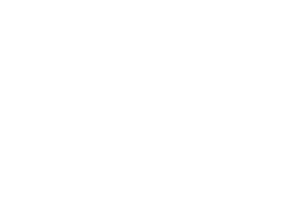 Helvetic